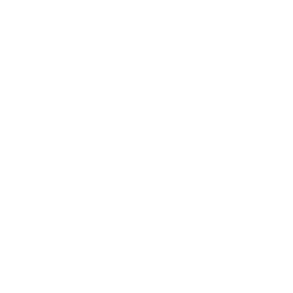 BridgeLink University